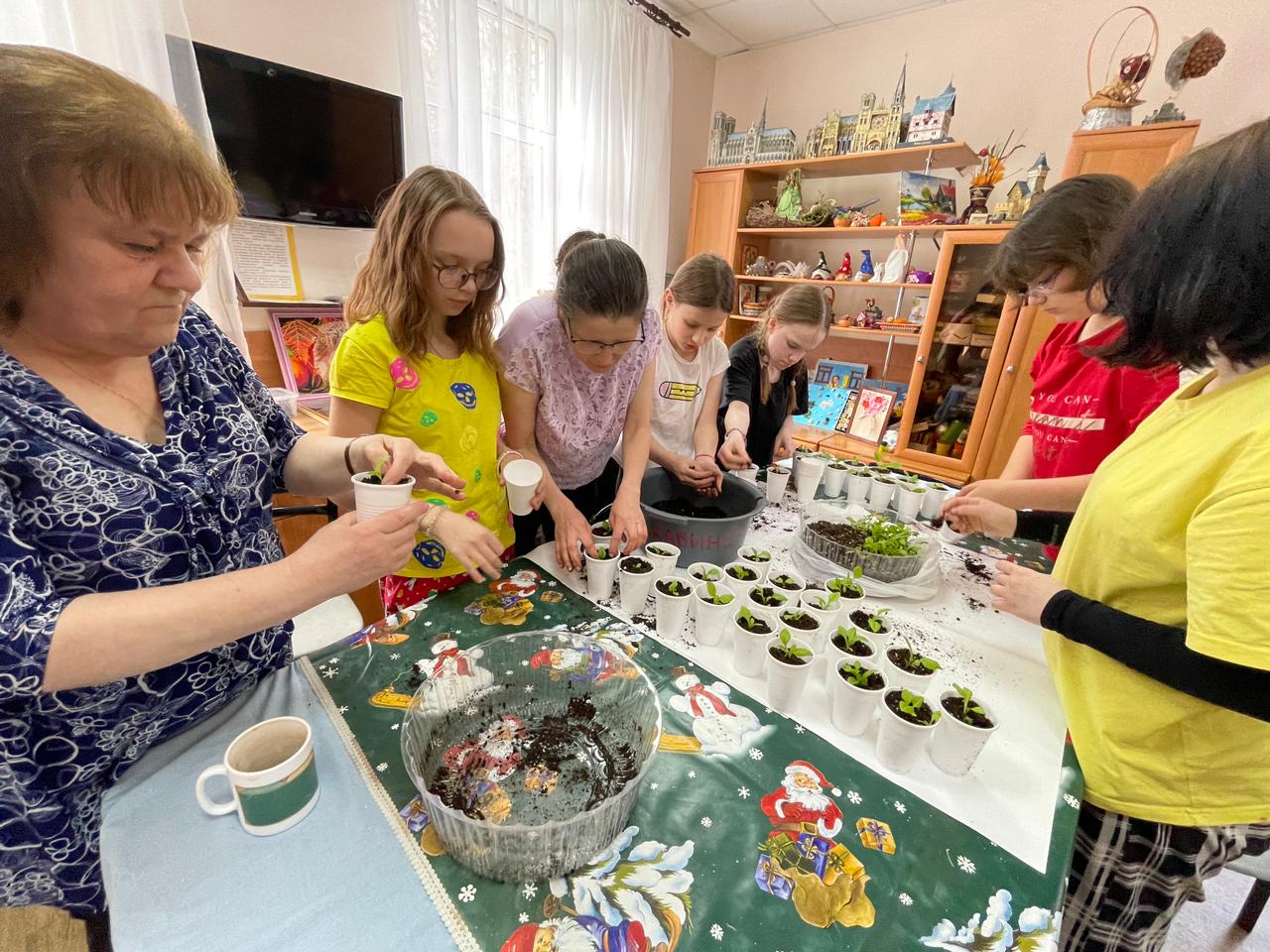 Пикировка рассады