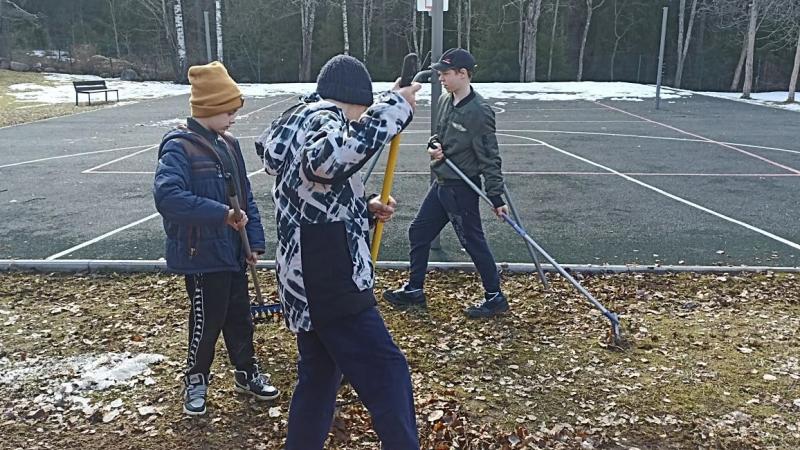 Чистый двор — общими силами