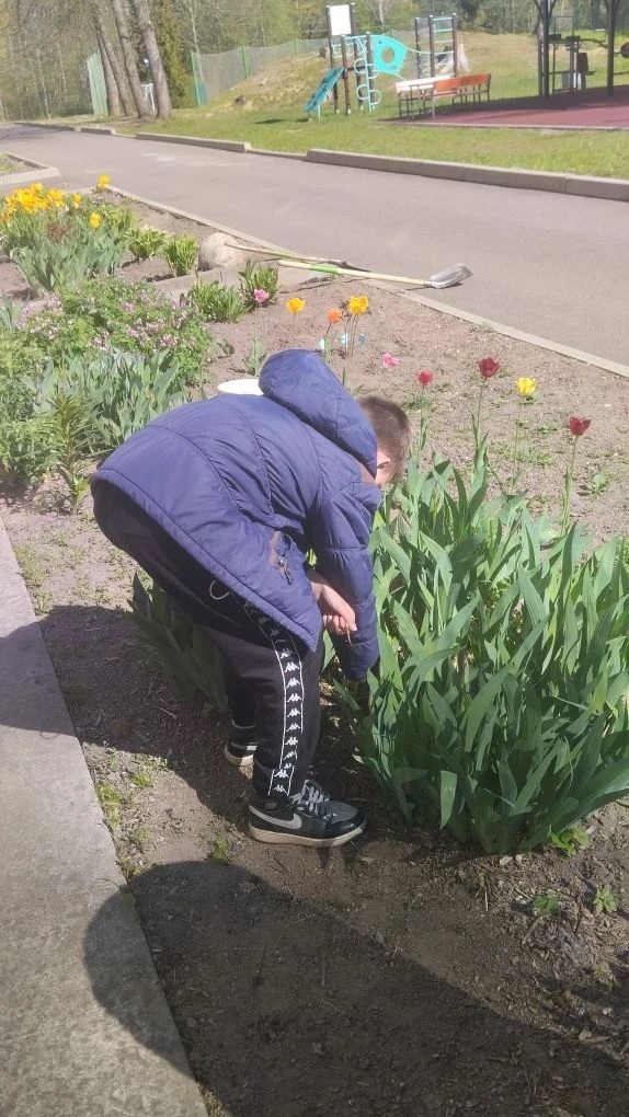 Трудовой десант: ухаживаем за клумбой