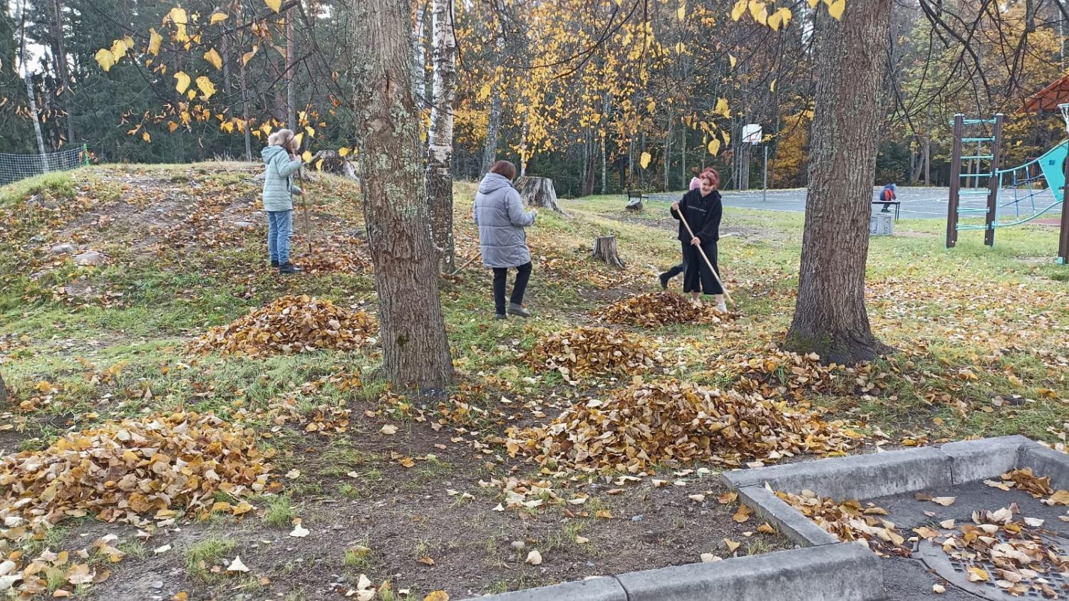Трудовой десант Трудовой десант