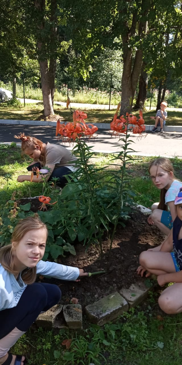 Летние каникулы подходят к концу