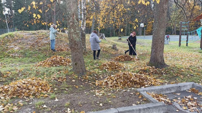 Трудовой десант 