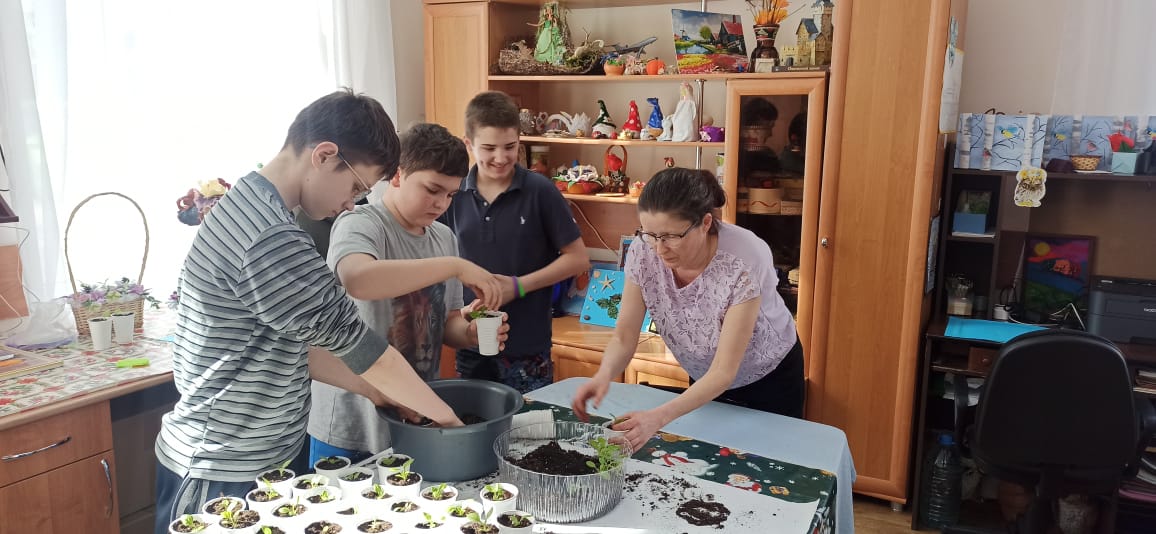 Пикировка рассады