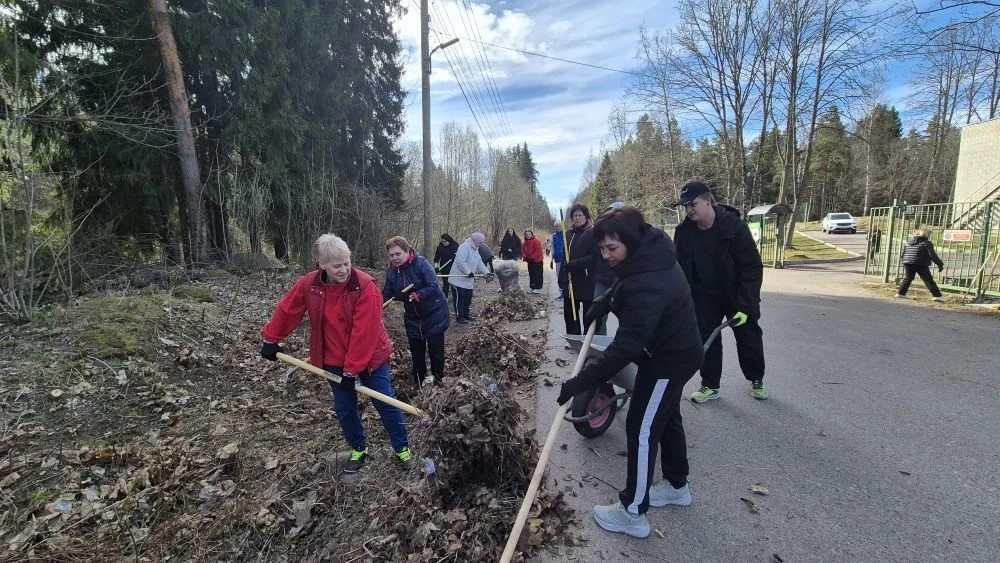 Весенний субботник в Выборгском ресурсном центре