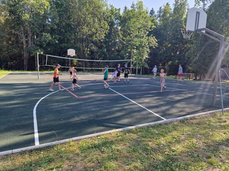 Игра «Краски»