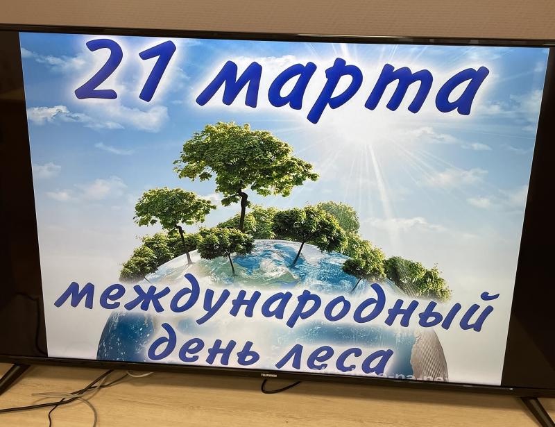 Международный день лесов
