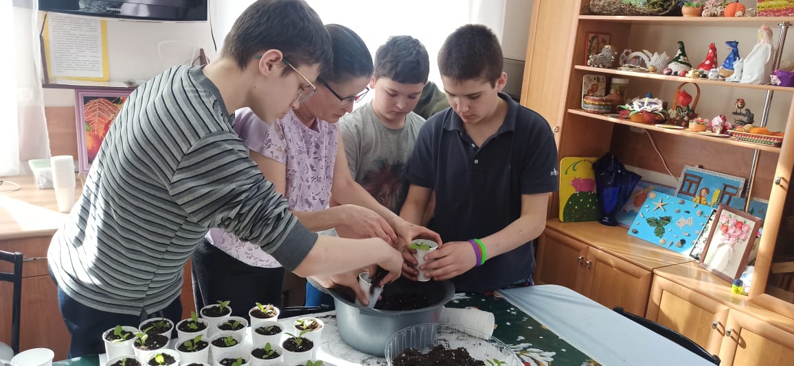 Пикировка рассады