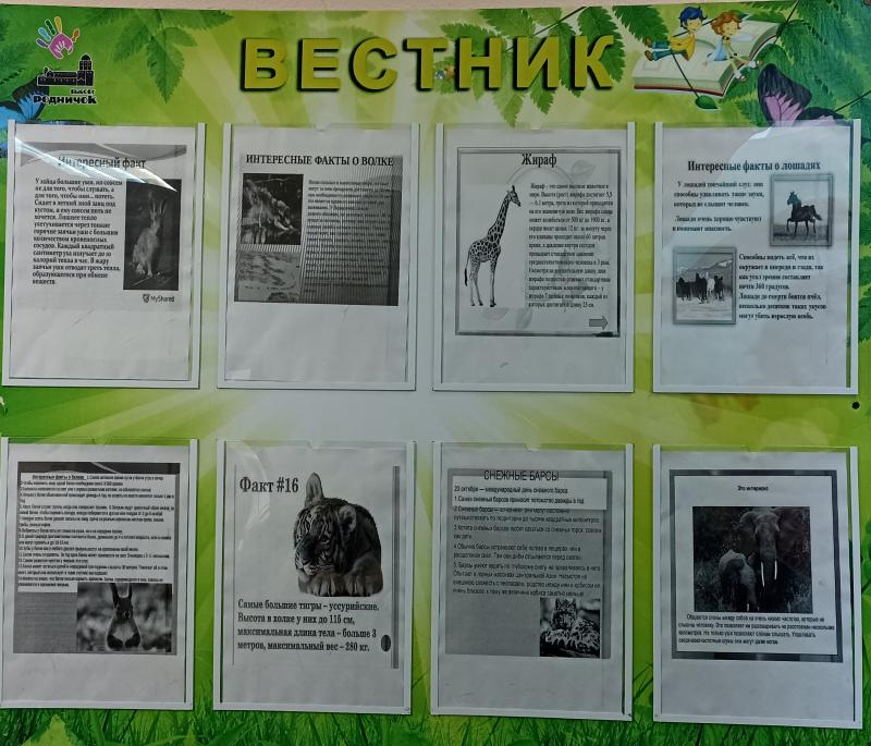 Занятие «Интересные факты о животных»