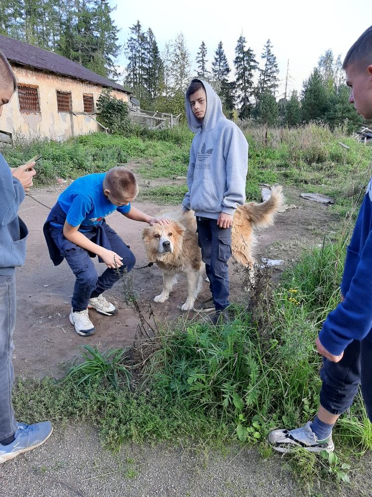 Исследовательский проект "Тайна воды"