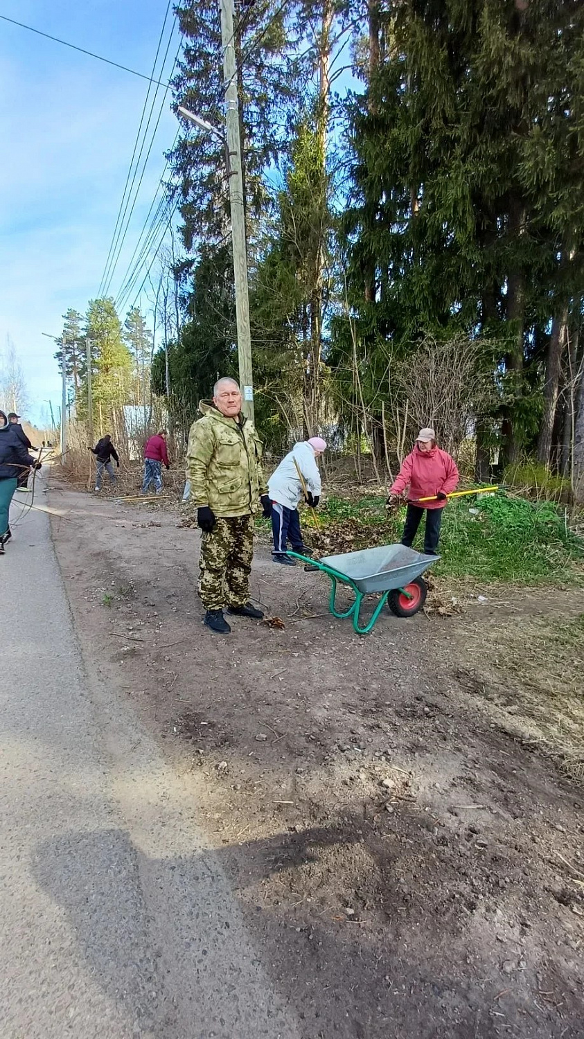 Весенний субботник в Выборгском ресурсном центре