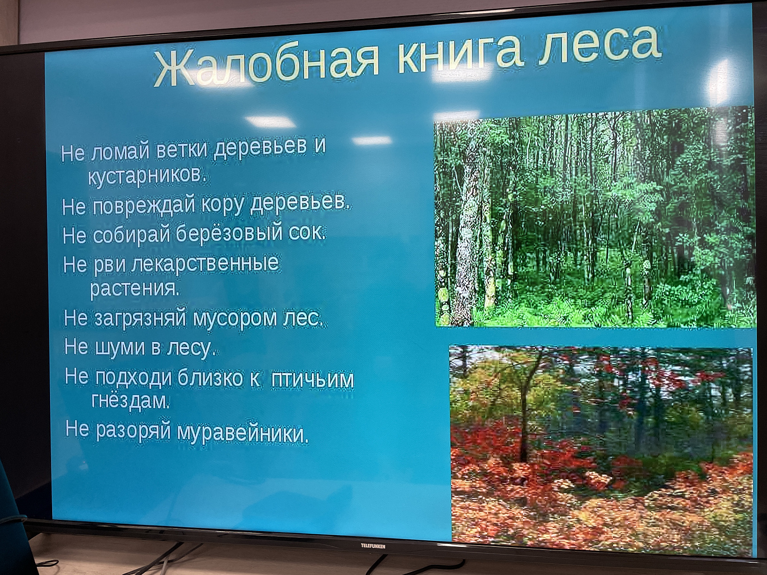 Международный день лесов