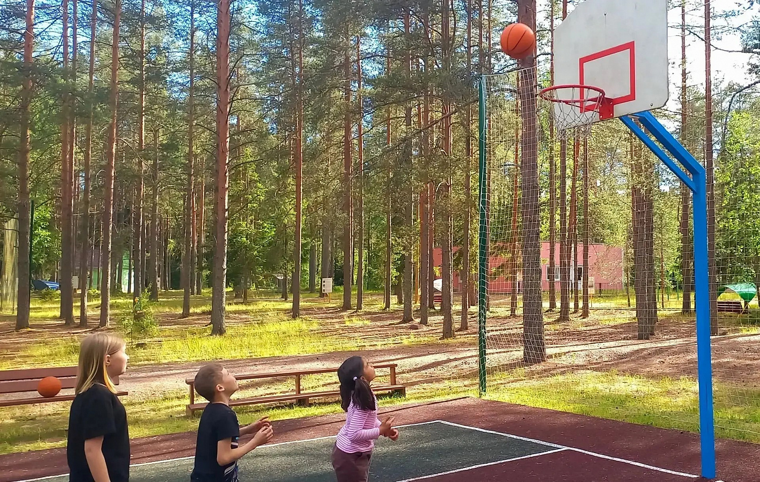 Квест "Сила России"