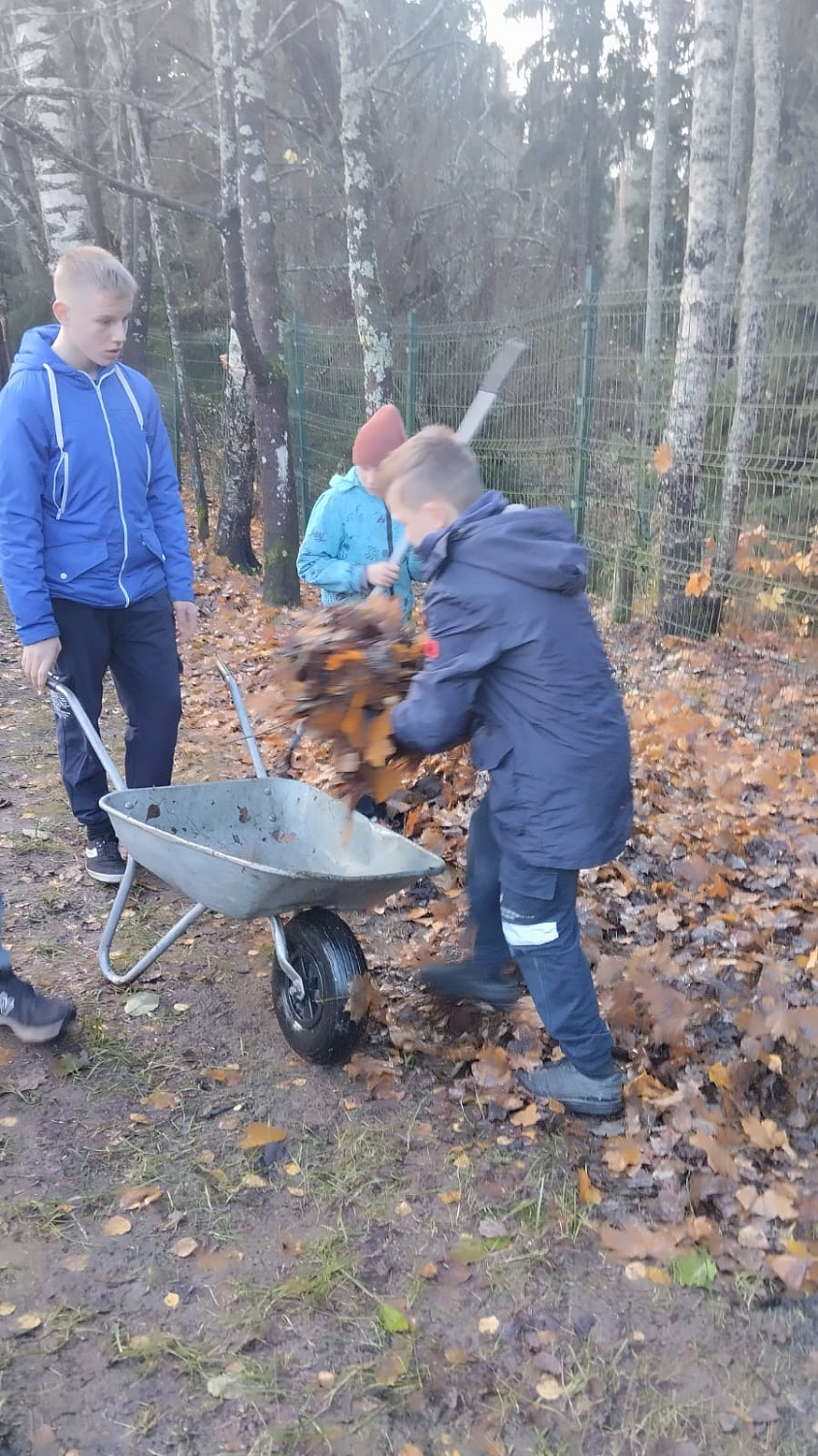 Уборка листьев