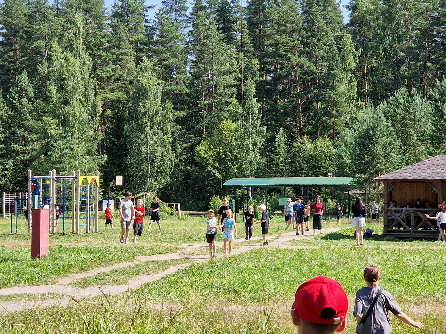 Гонка красок: жёлтые против зелёных